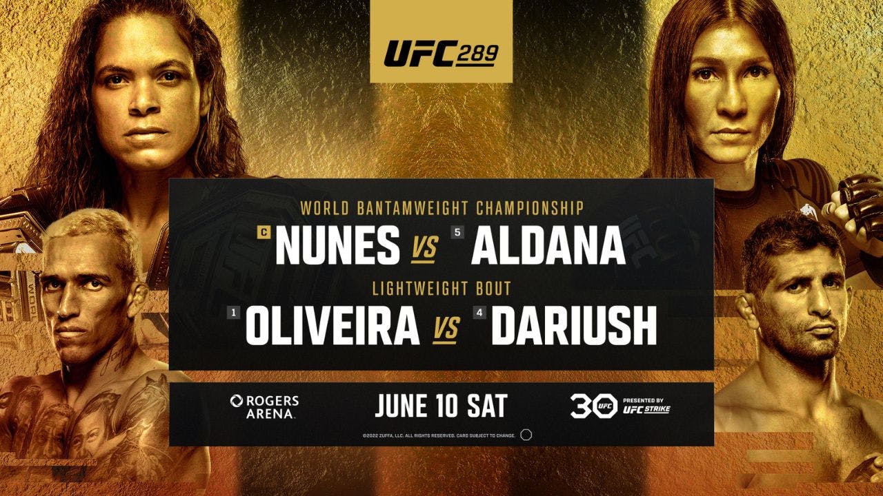 UFC 289