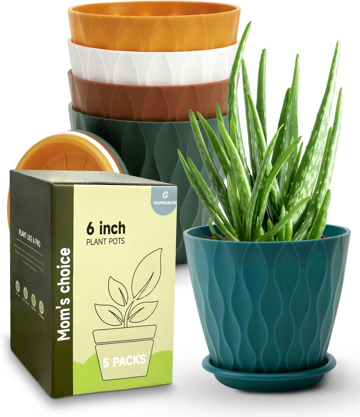 <h4>Indoor Planter Pots</h4>
