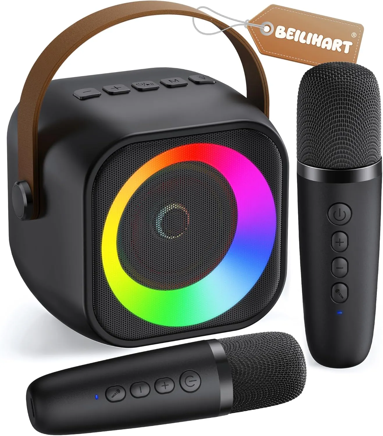 <h4>Mini Karaoke Machine</h4>