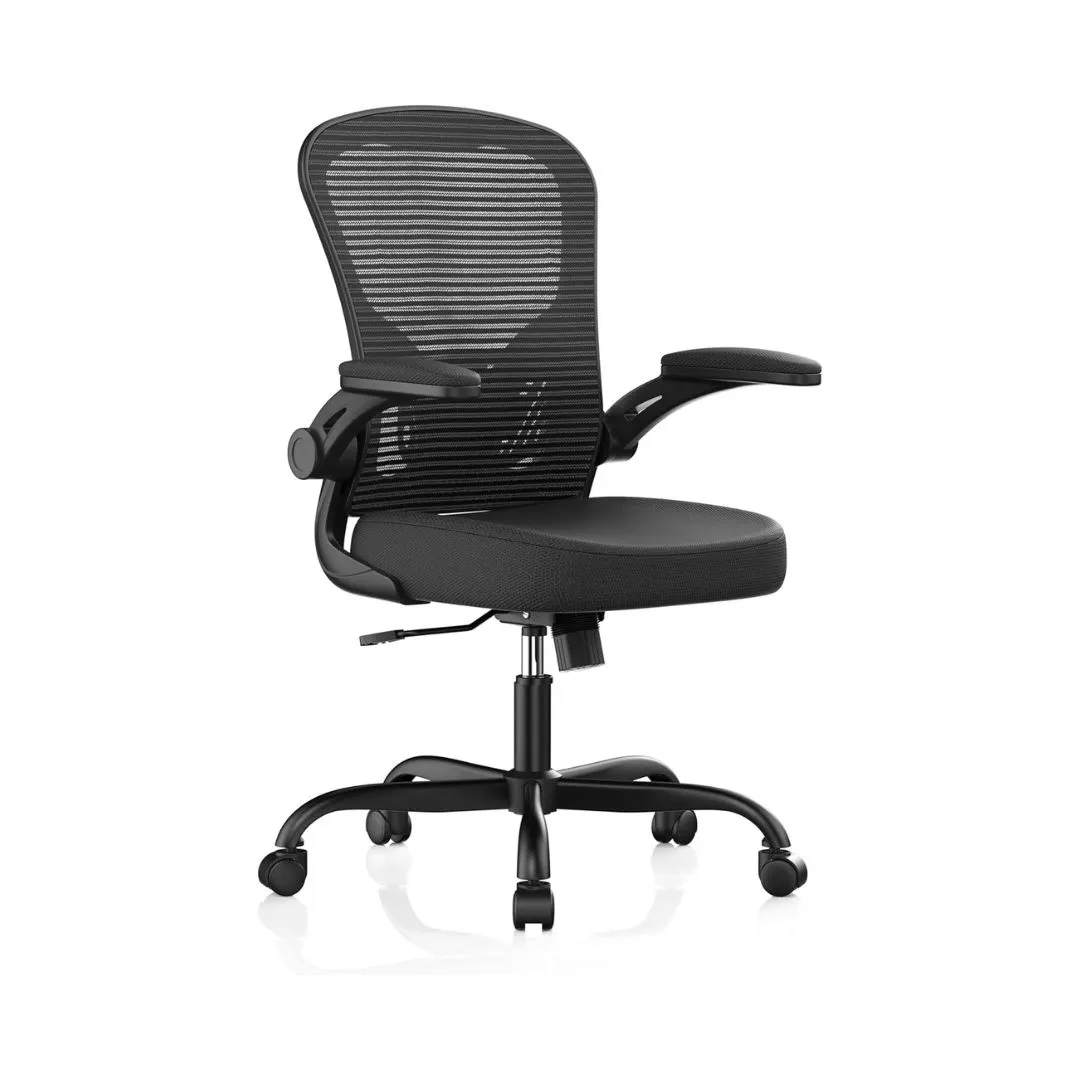<h4>Ergonomic Officer Chair</h4>