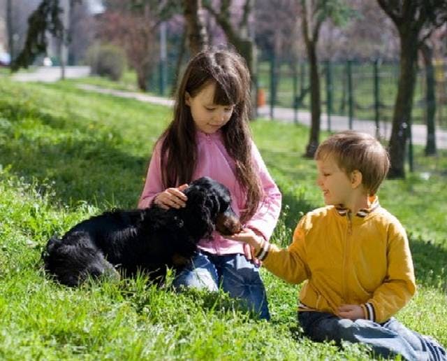 2 children sitting in field with dog