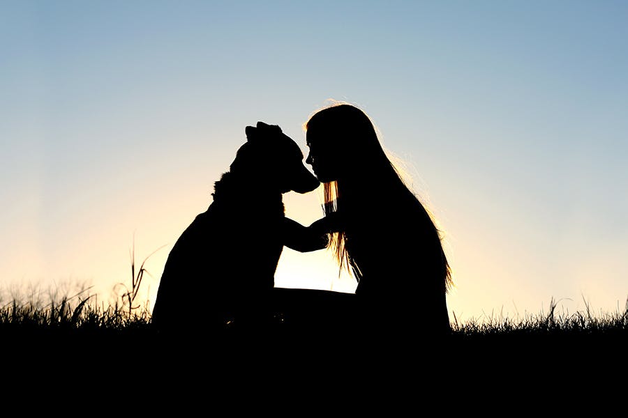silhouette of woman and dog embracing in sunset