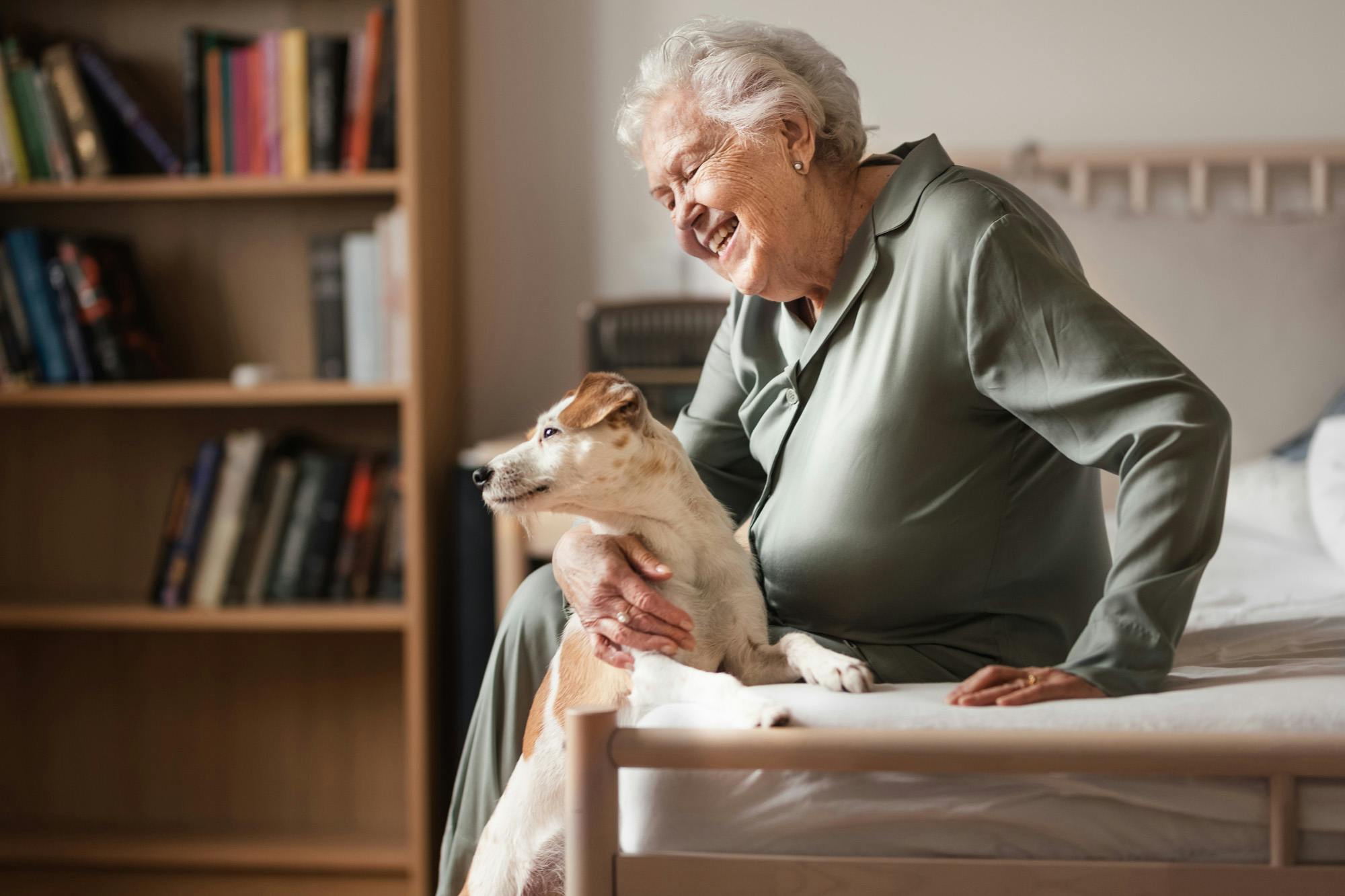 An older woman smiles as she looks at the Jack Russell putting paws up on her bed. 