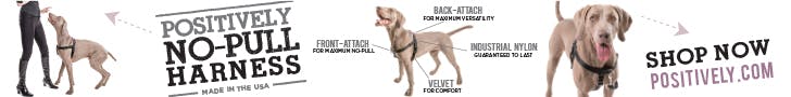 graphic showing various views of Positively no pull harness