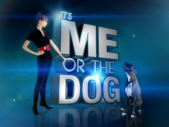 Post: How IMOTD Changed Me As A Dog Trainer | Positively.com