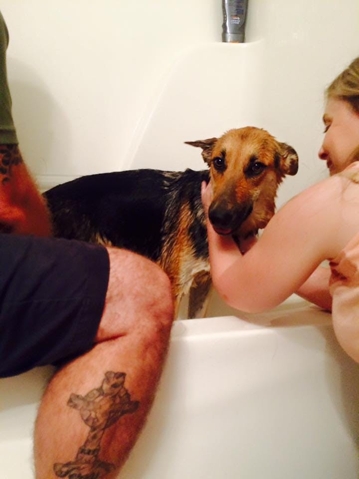 bath time for GSD