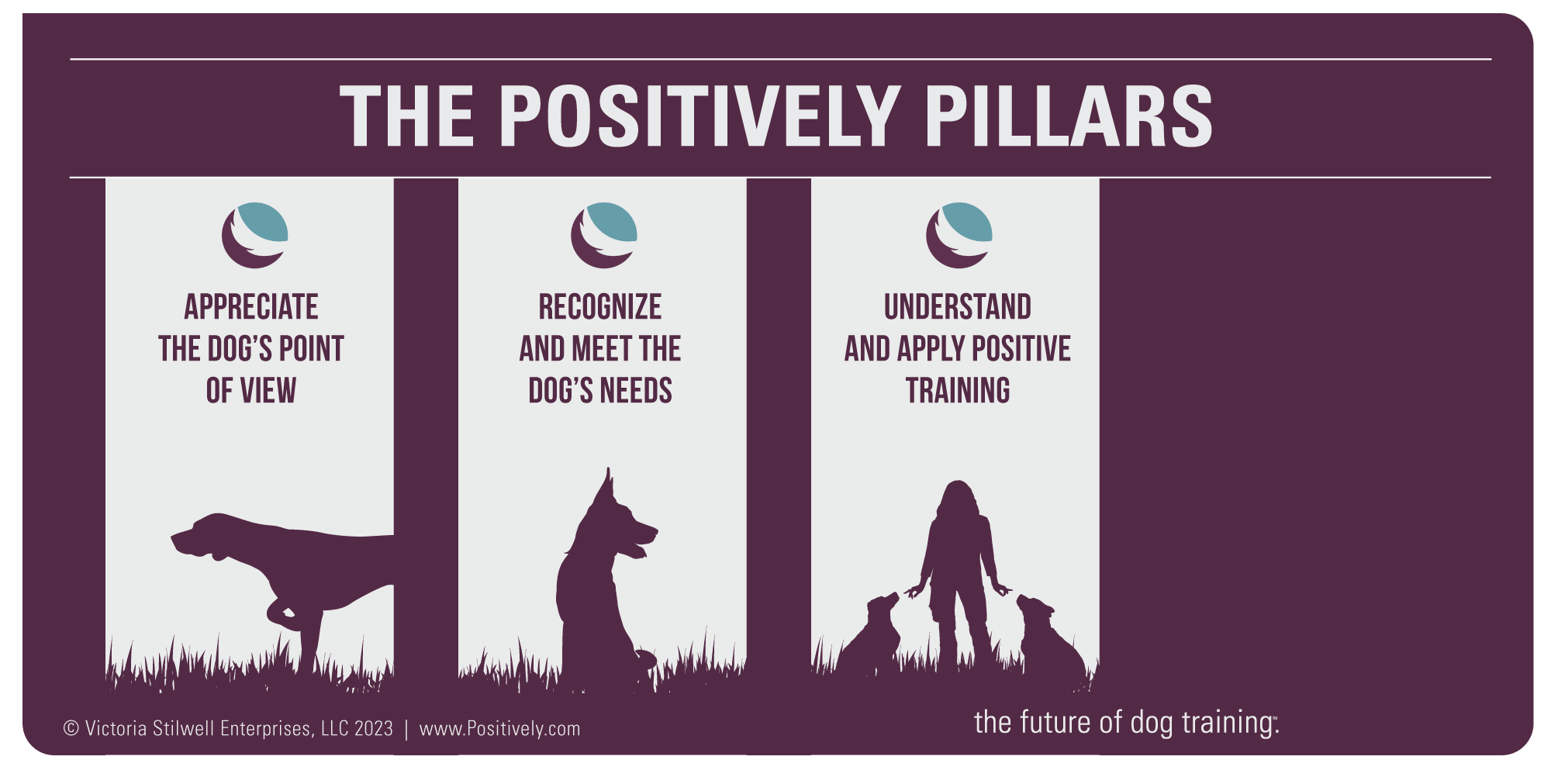 Positively Pillar #3