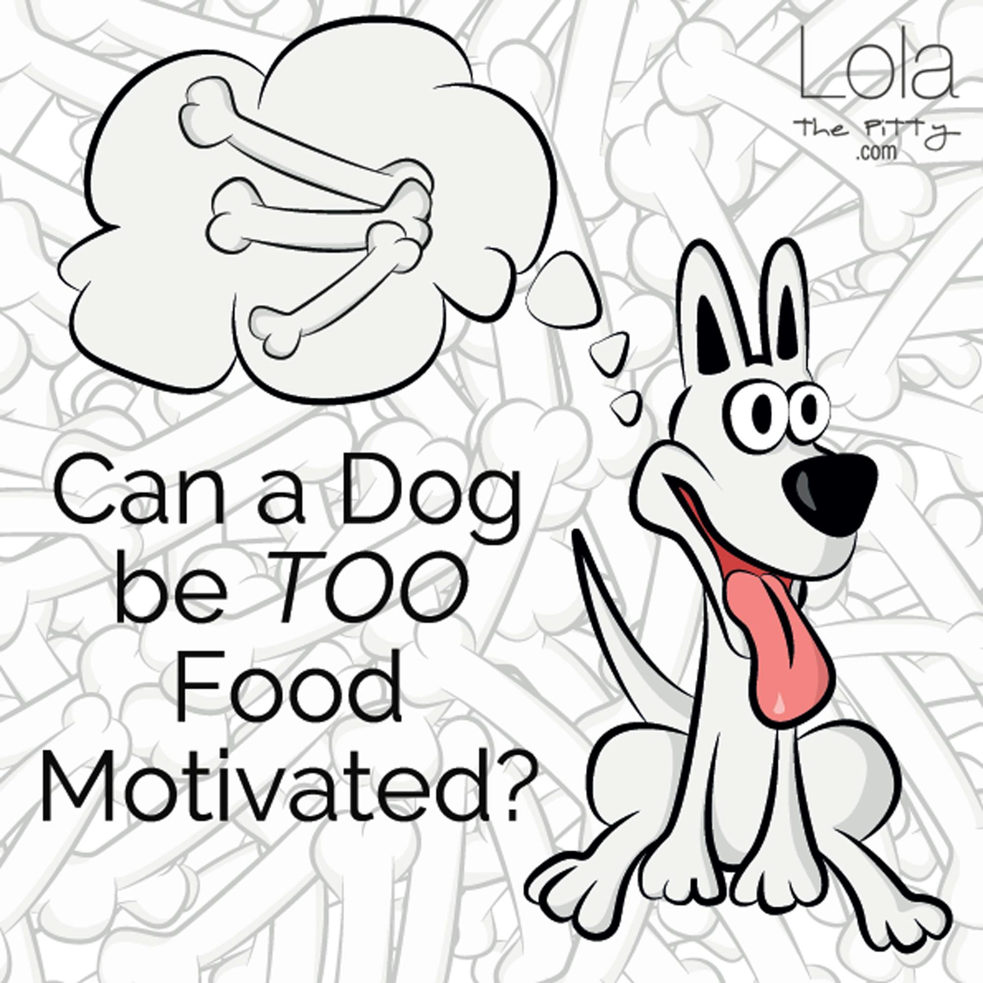 Can a dog be too food motivated?