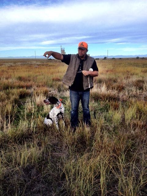 Tom and Klous gun dog training 