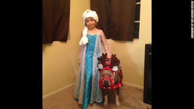 Child dressed for Christmas with her dog dressed as a reindeer