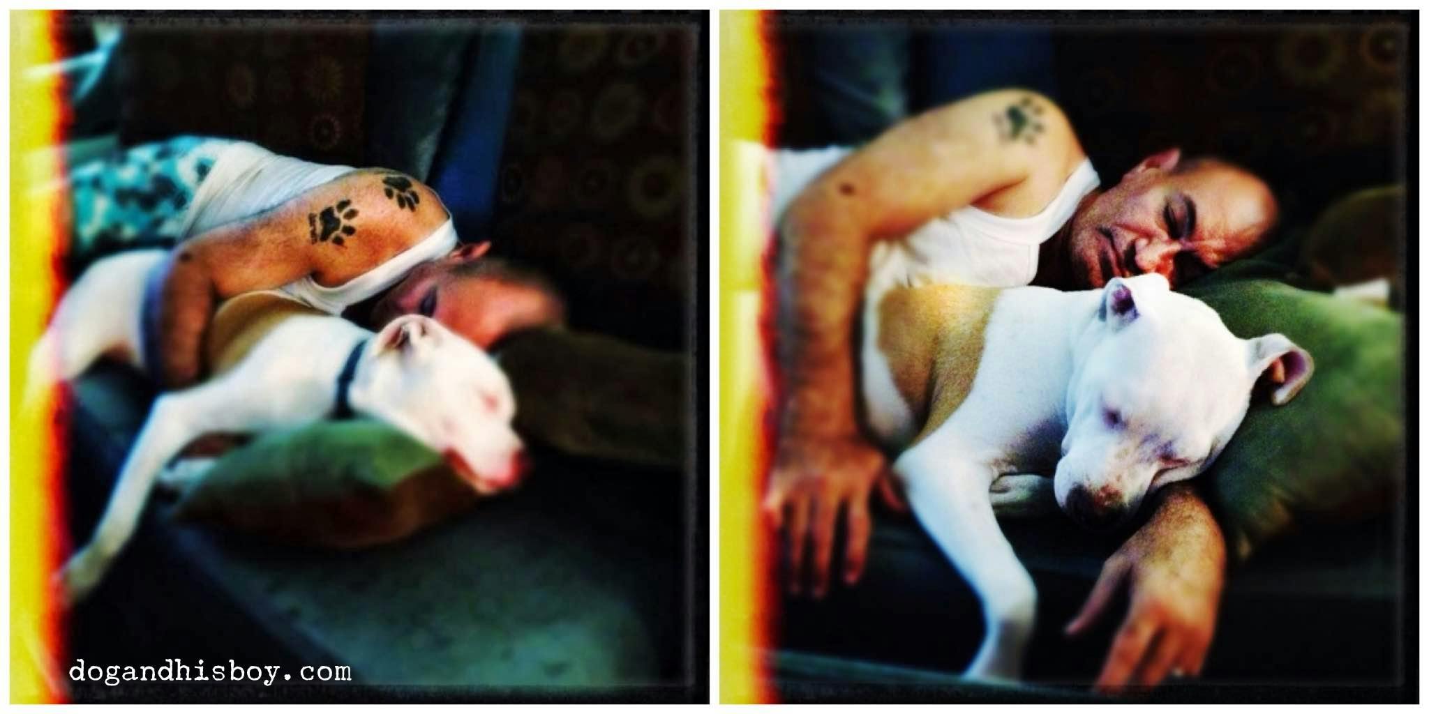 A deaf dog named Foster cuddles with his person.