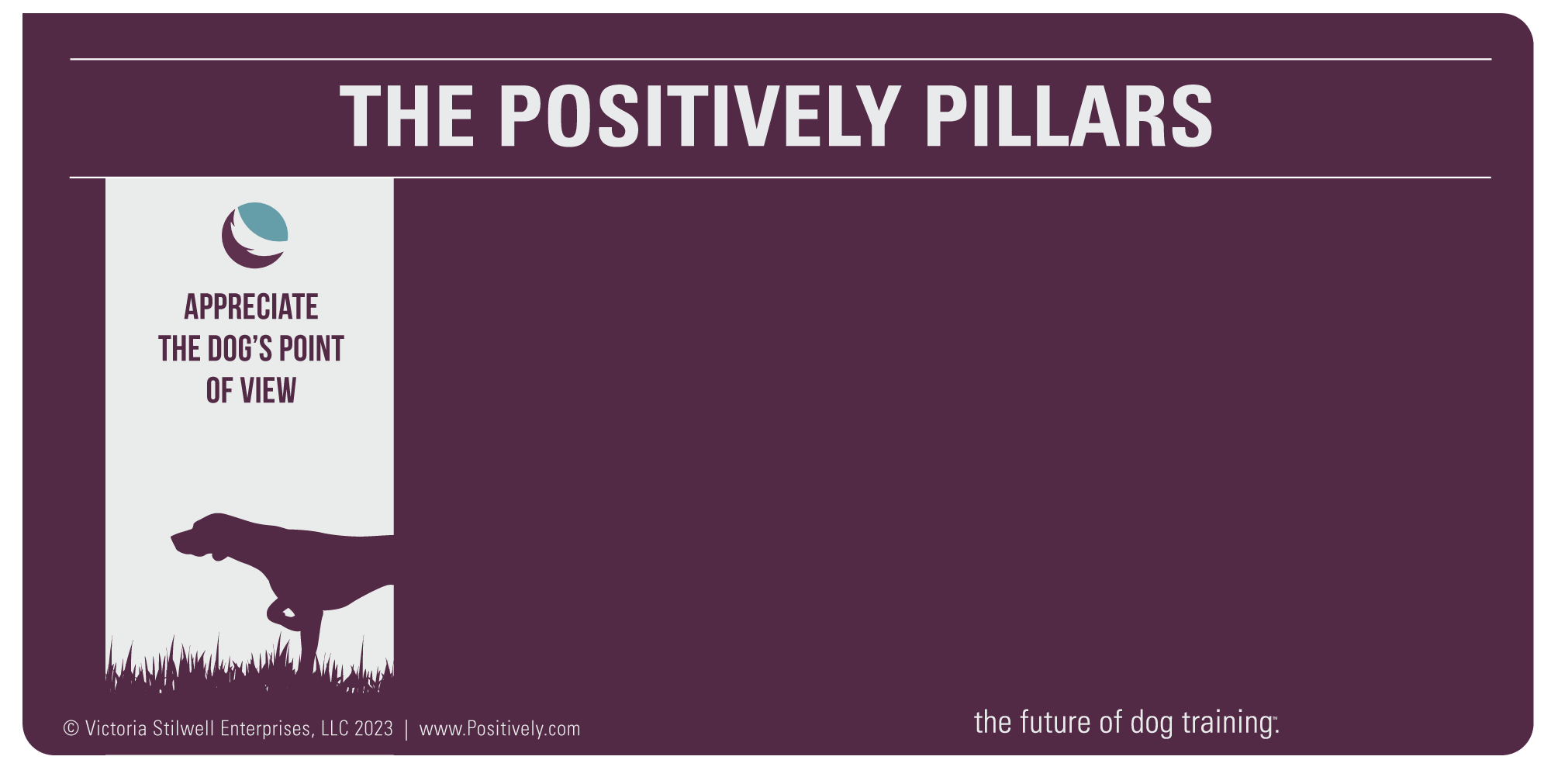 Positively Pillar #1