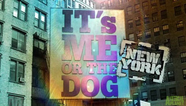 It's Me or the Dog (New York) Logo
