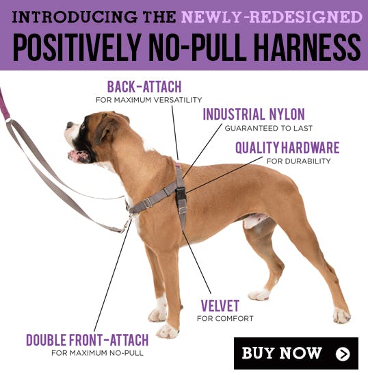 Graphic of Positively no pull harness