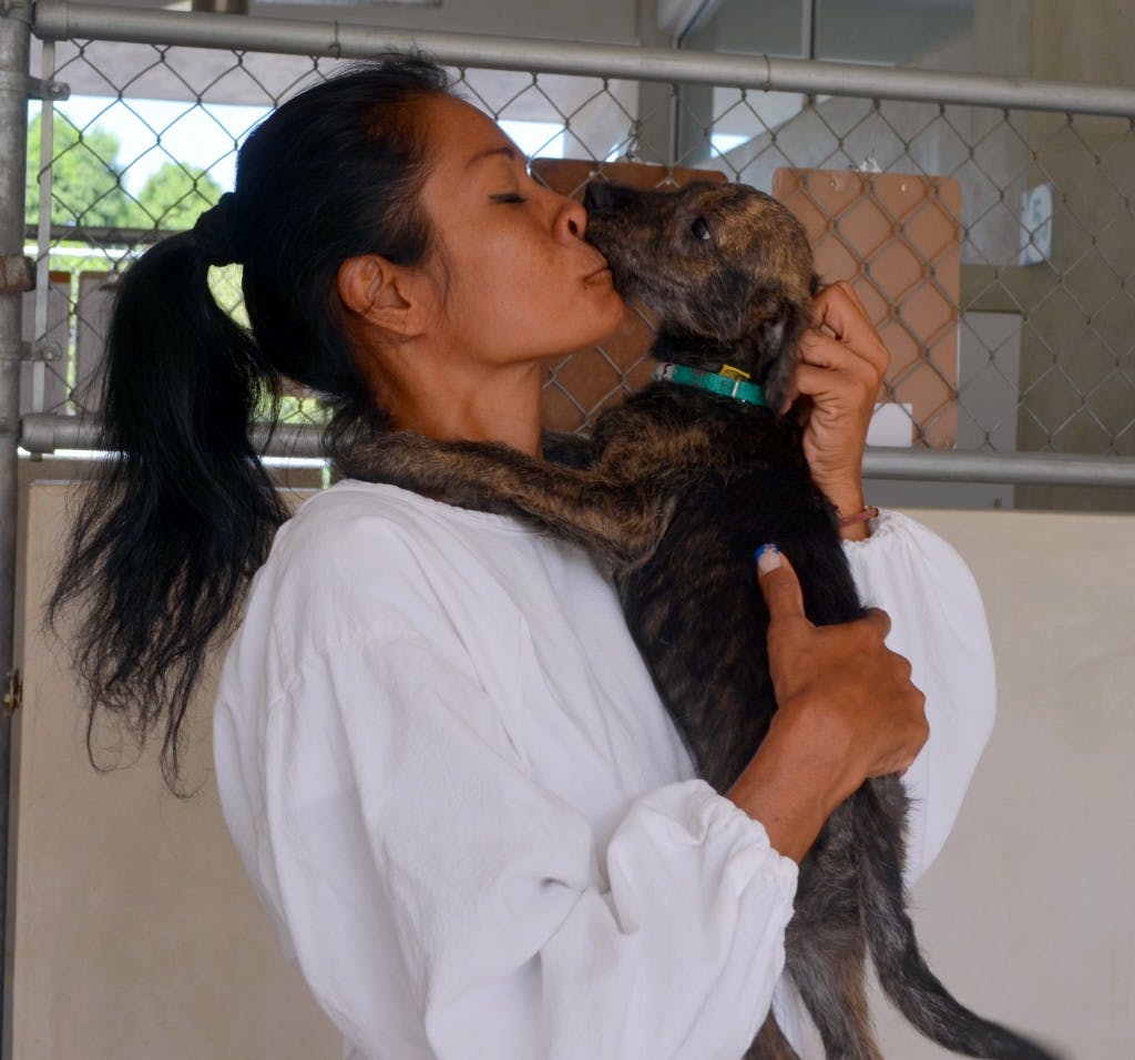 A puppy with shelter manager, Sabrina Leyva.
