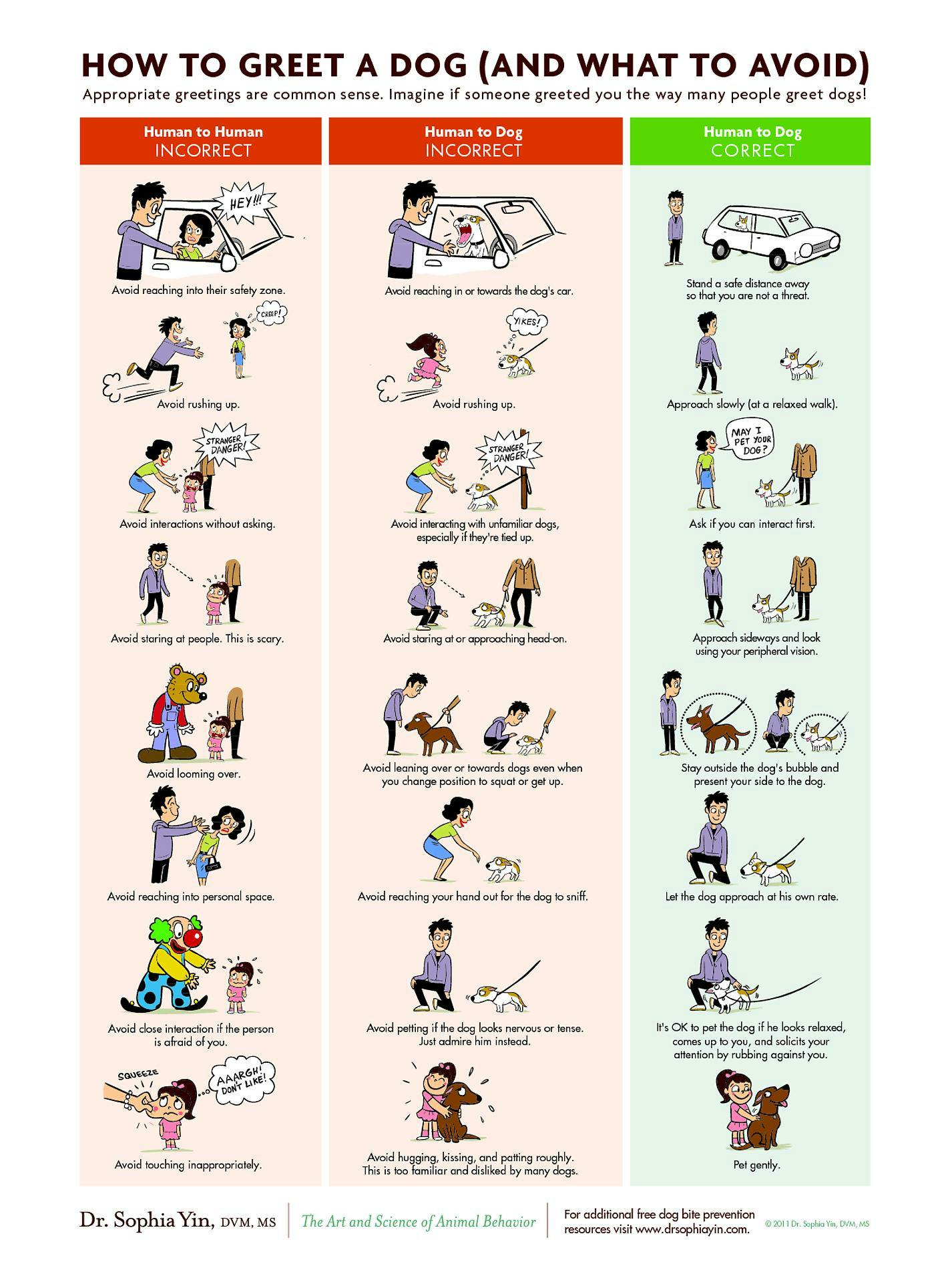 How to Greet a Dog (and What to Avoid) poster