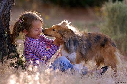 girl and collie touching noses in field laughing
