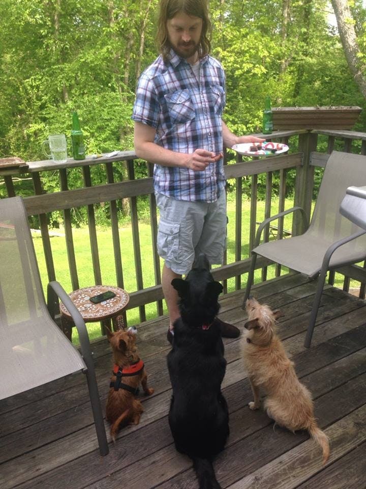 Man feeding his dogs out on the porch from plate while they sit politely.