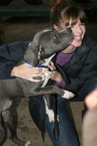 Victoria Stilwell holding pitbull