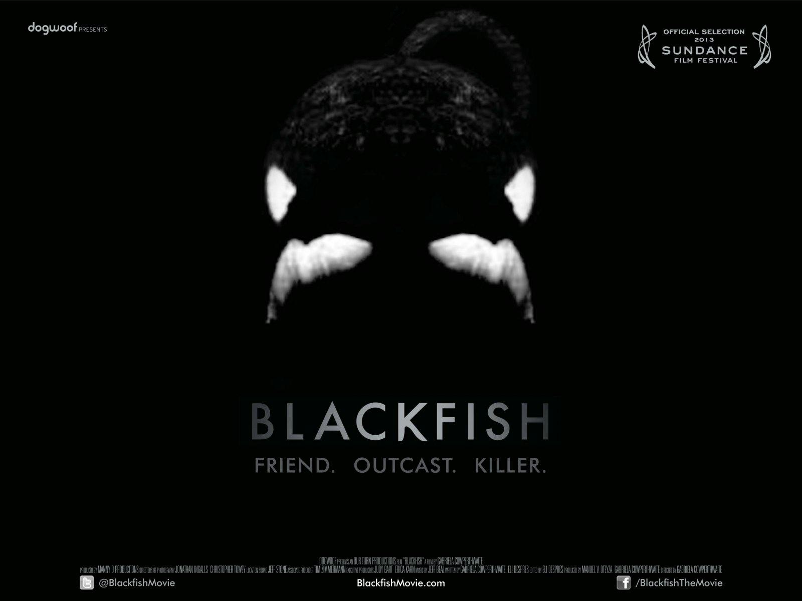 Movie poster for Blackfish a Documentary about the Orca Whale