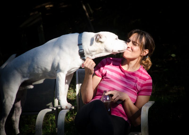 white bully breed dog stretching towards lady nose to nose