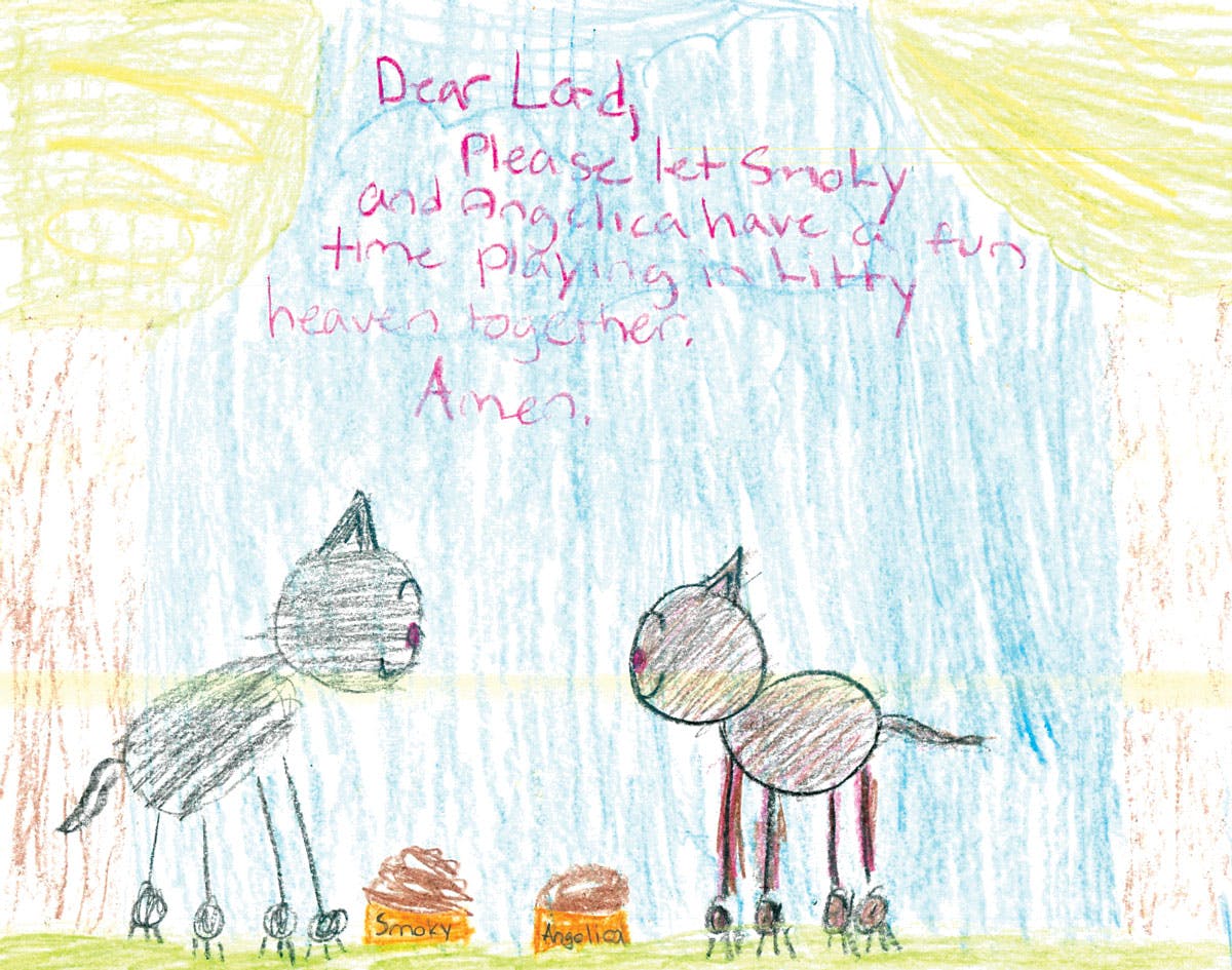 a letter written by a child to her cat that passed