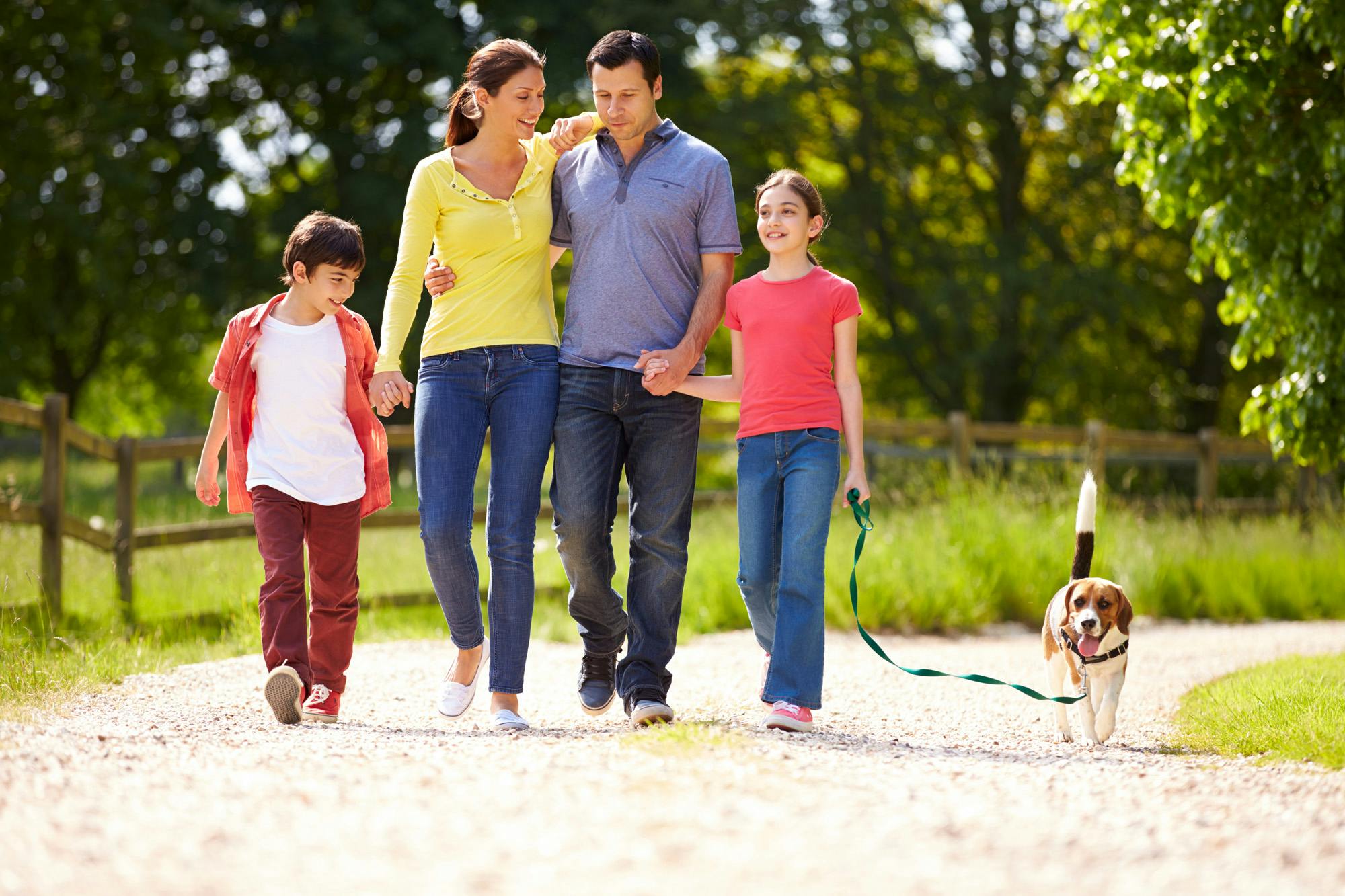 Family out exercising and walking together with their adorable beagle. 