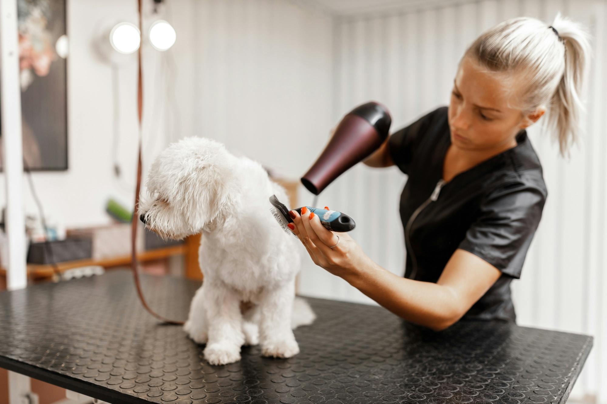 Avoidance behavior can be as simple as a dog turning its head away during a grooming session.