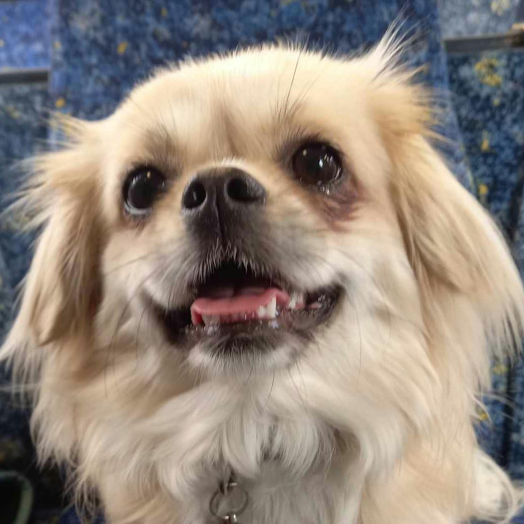 Success Story: Flopz Brings Joy and Comfort | Positively.com