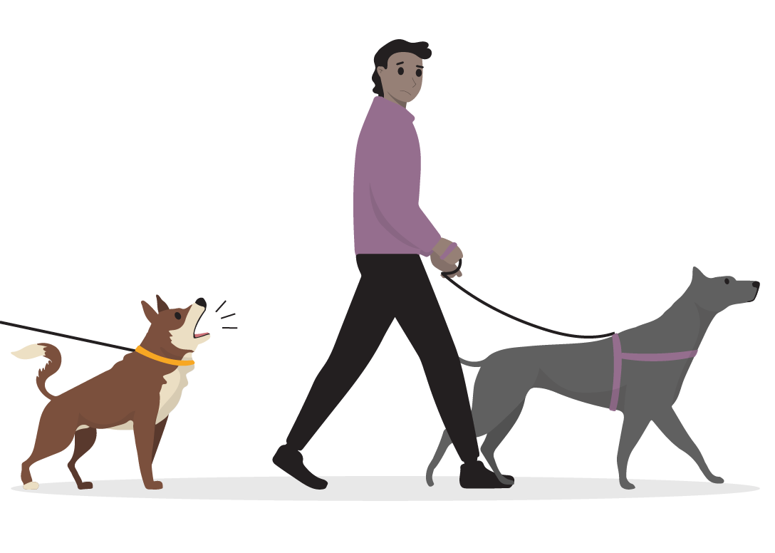 Leash Aggression | Positively.com