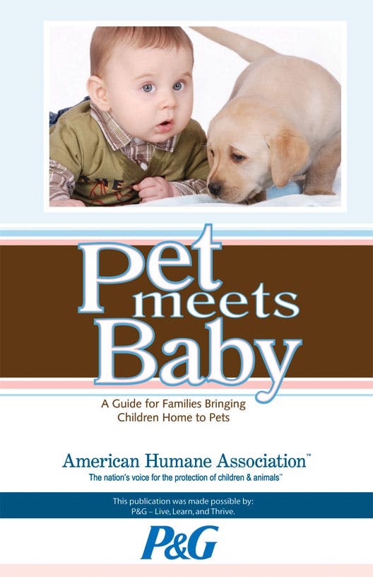 pet meets baby cover photo