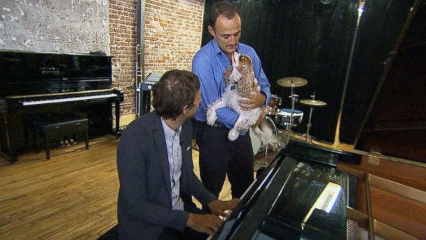 Selected for DogTV, Andrew Dost is a multi-instrumentalist for the band 'fun.' 