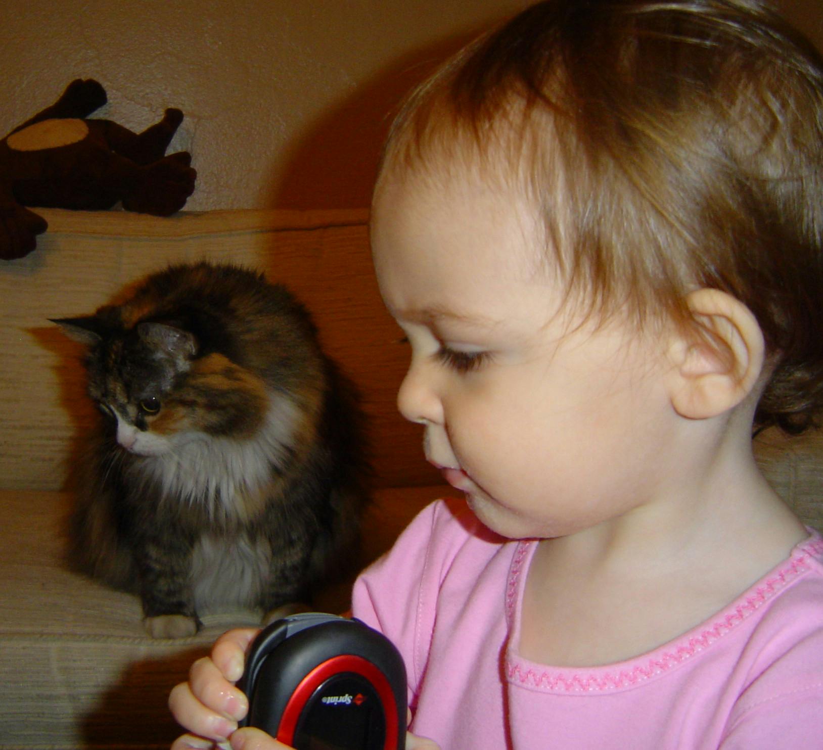 child and her kitty cat