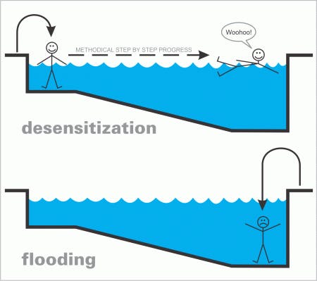 Desensitization versus flooding using deep end of the pool analogy in illustration