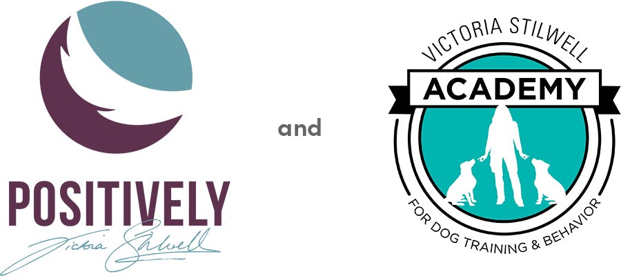Positively and VSA - What's the Difference?