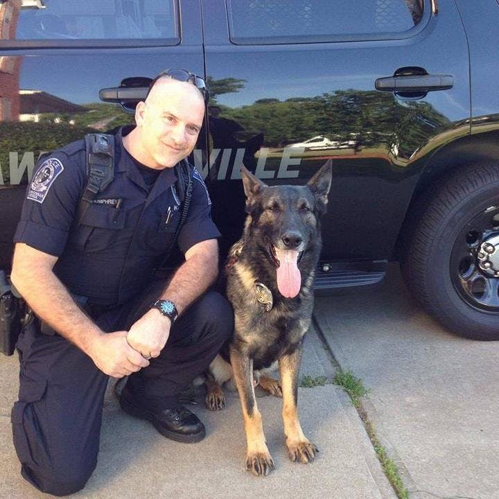 officer and his K9 partner