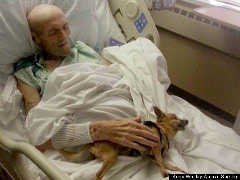 James, a sick man in the hospital, is reunited with his dog, Bubba, and soon recovers.