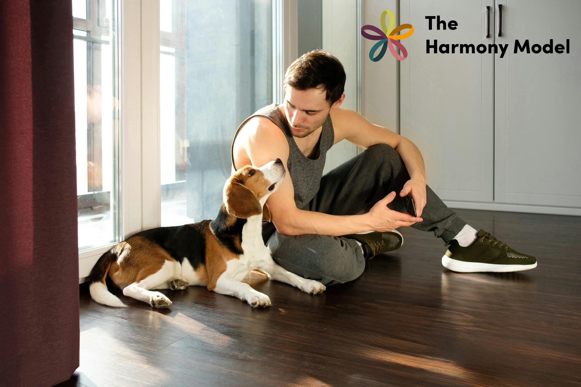 Man and beagle use body language and eye contact to communicate with one another. 