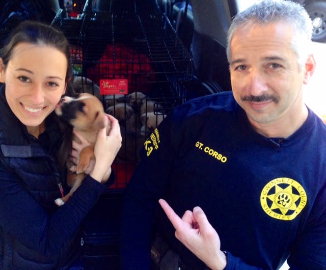 puppies with officers shortly after the rescue