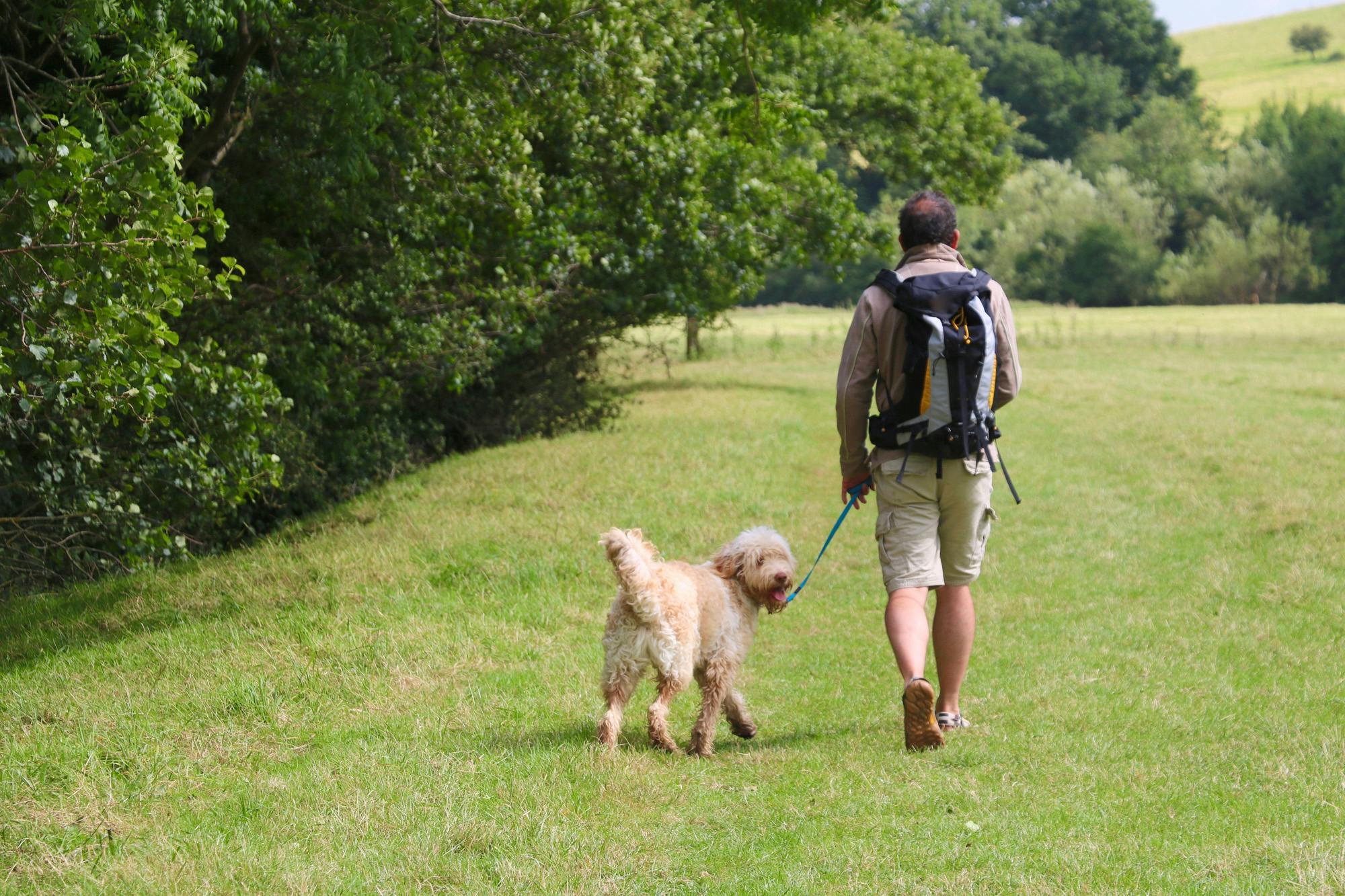 Person and dog making an emergency u-turn and walking away. 