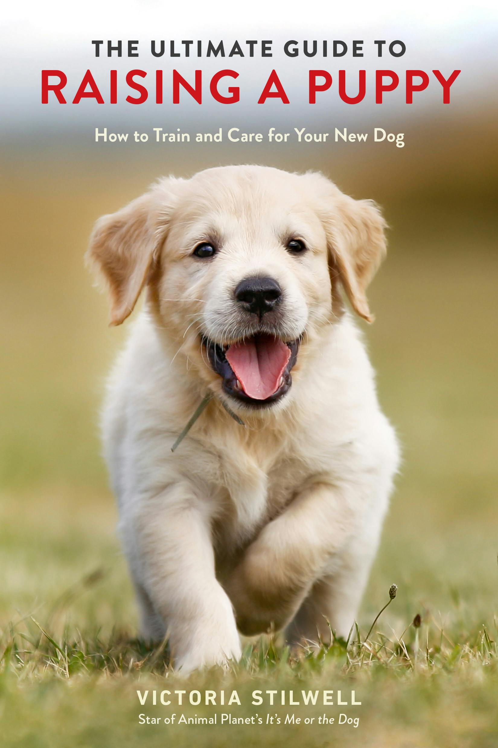 The Ultimate Guide to Raising a Puppy book cover