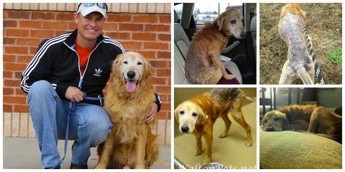 Left: Tuck with one of his adoptive family members. Right: Photos of Tuck's recovery.