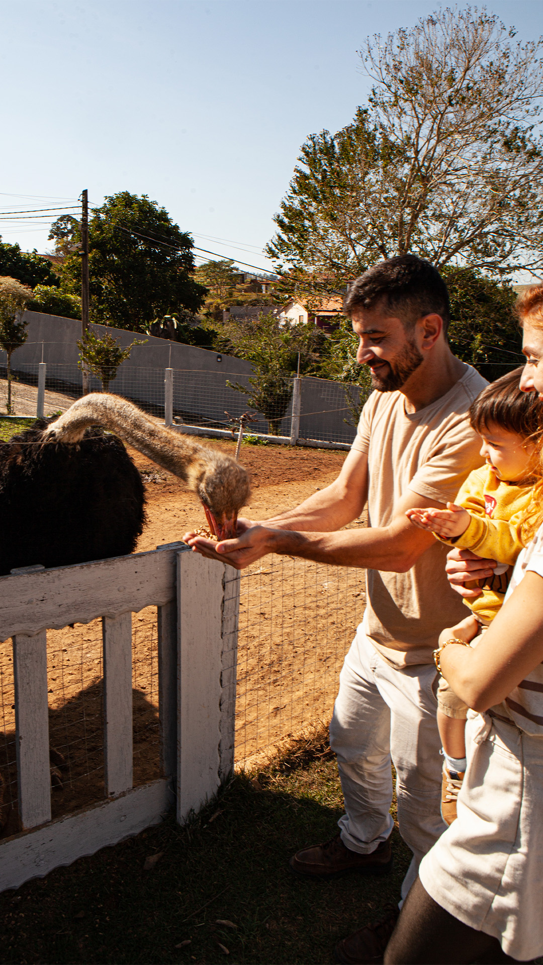 Fazendinha - interagindo com animais na pousada Recando da Fazenda
