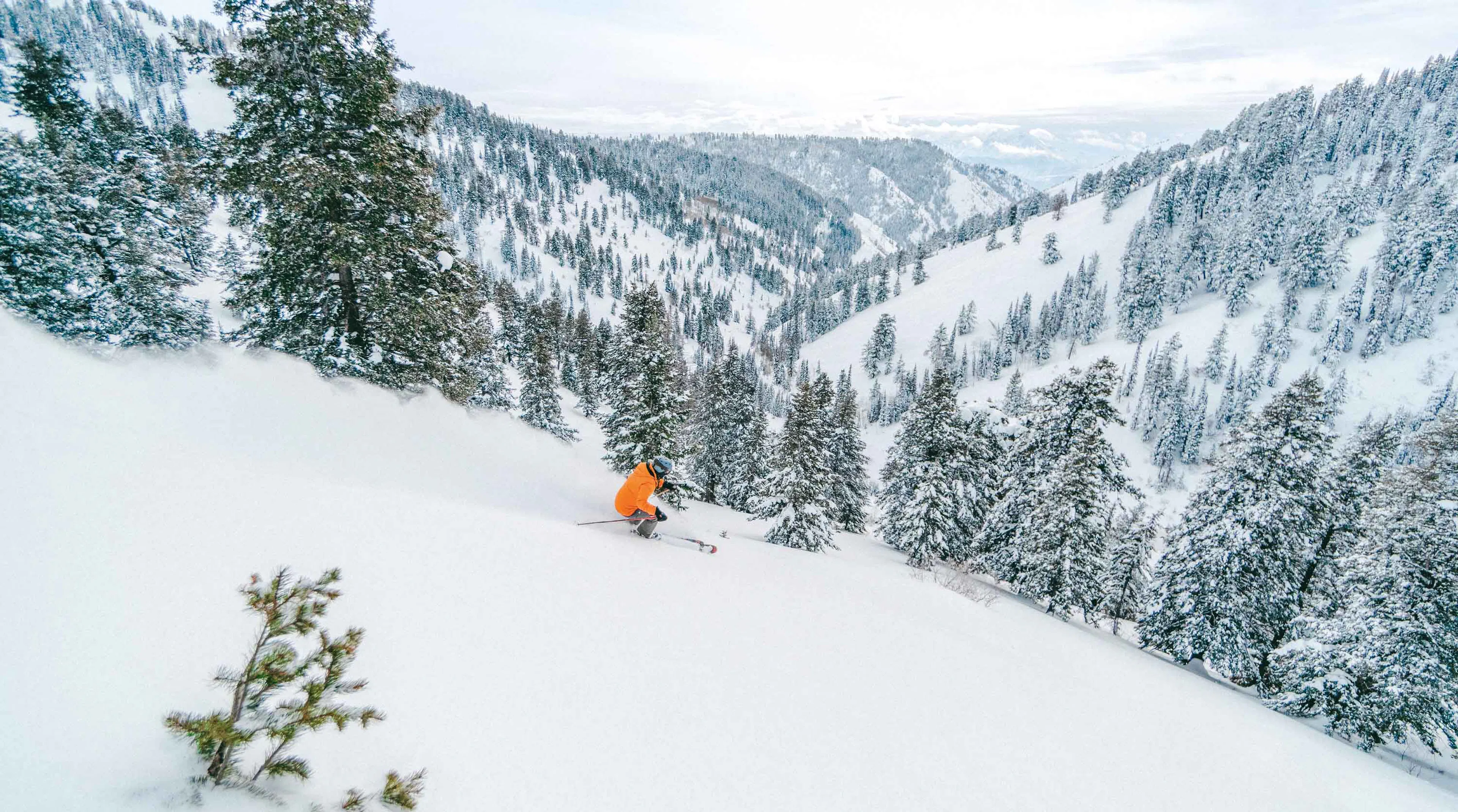 A skier navigates steep, expert terrain of Powder Mountain.