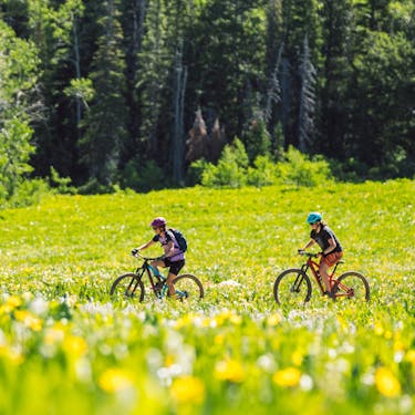 Two bike riders ride through a lush green valley