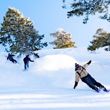 A group of skiers carves through powder amongst trees