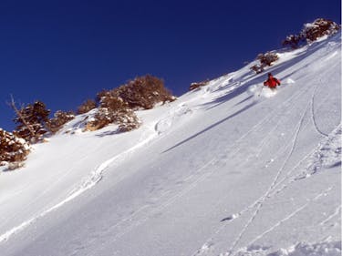 A skier descends through a slope of powder