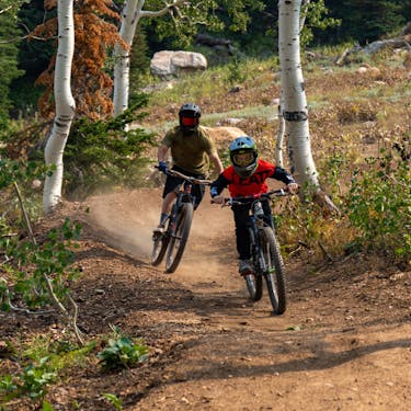 Two mountain bike riders ride a dirt trail through aspen tree trunks