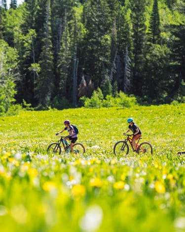 Two bike riders ride through a lush green valley