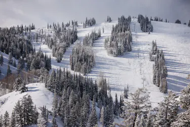 Ski mountain with multiple runs and snow covered trees. A ski lift is going up the middle of the mountain.